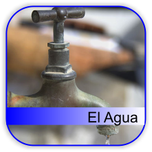 elagua