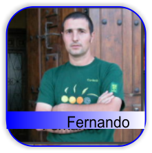 fernando