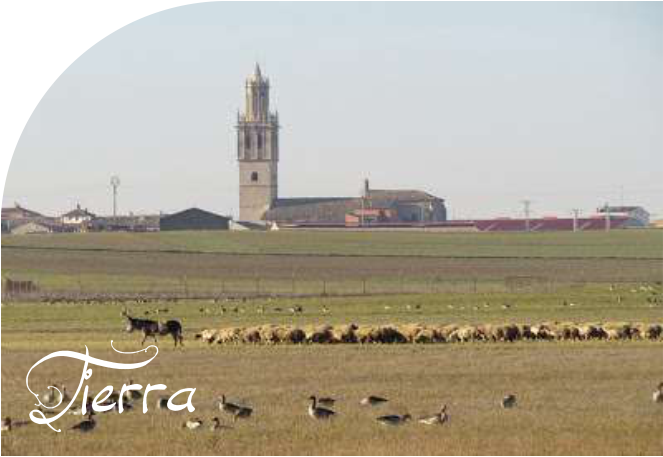 Tierra