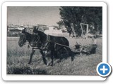 Año 1940/prop. Hipolito Alonso
